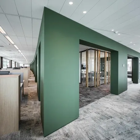 Luxury office painting project
